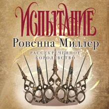 Рассекреченное королевство. Книга вторая. Испытание