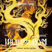 Индивидуум. Книга 3
