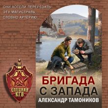 Обложка Бригада с запада Александр Тамоников