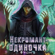 Обложка Некромант-одиночка. Новелла. Том 2 JJJ