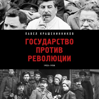 Обложка Государство против революции Павел Крашенинников