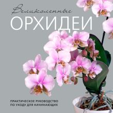 Обложка Великолепные орхидеи. Практичное руководство по уходу для начинающих Елена Бачурина