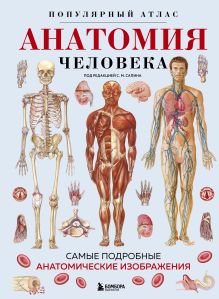 Обложка Анатомия человека. Популярный атлас. Самые подробные анатомические изображения