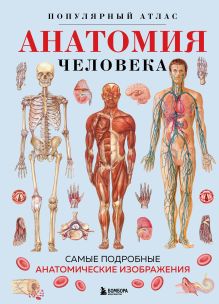 Обложка Анатомия человека. Популярный атлас. Самые подробные анатомические изображения 