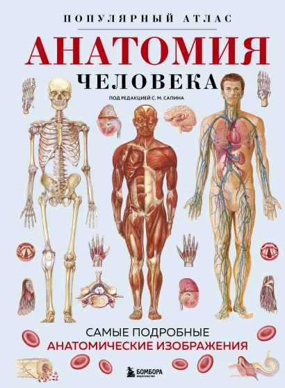 Обложка Анатомия человека. Популярный атлас. Самые подробные анатомические изображения
