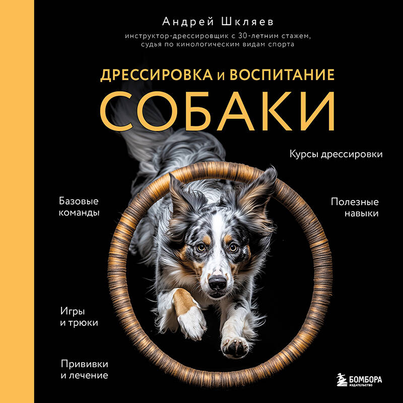 Дрессировка и воспитание собаки