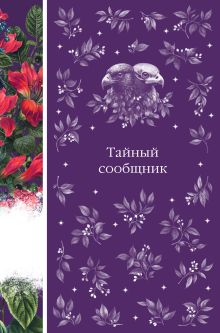 Обложка Тайный сообщник Эдвард Бульвер-Литтон, Генри Джеймс, Генри Джеймс, Джон Бэнгз, Брэм Стокер, Мэрион Кроуфорд, Джозеф Конрад, Элджернон Блэквуд, Элджернон Блэквуд, Уильям Джеймс