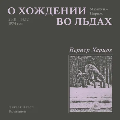 Обложка О хождении во льдах Вернер Херцог