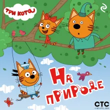 Три кота. На природе