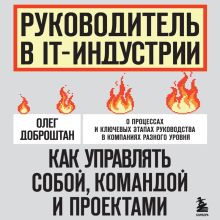 Обложка Руководитель в IT-индустрии. Как управлять собой, командой и проектами Олег Доброштан