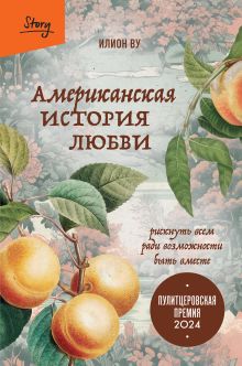 Обложка Американская история любви. Рискнуть всем ради возможности быть вместе Илион Ву