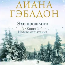 Эхо прошлого. Книга 1. Новые испытания
