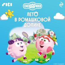 Смешарики. Лето в Ромашковой долине