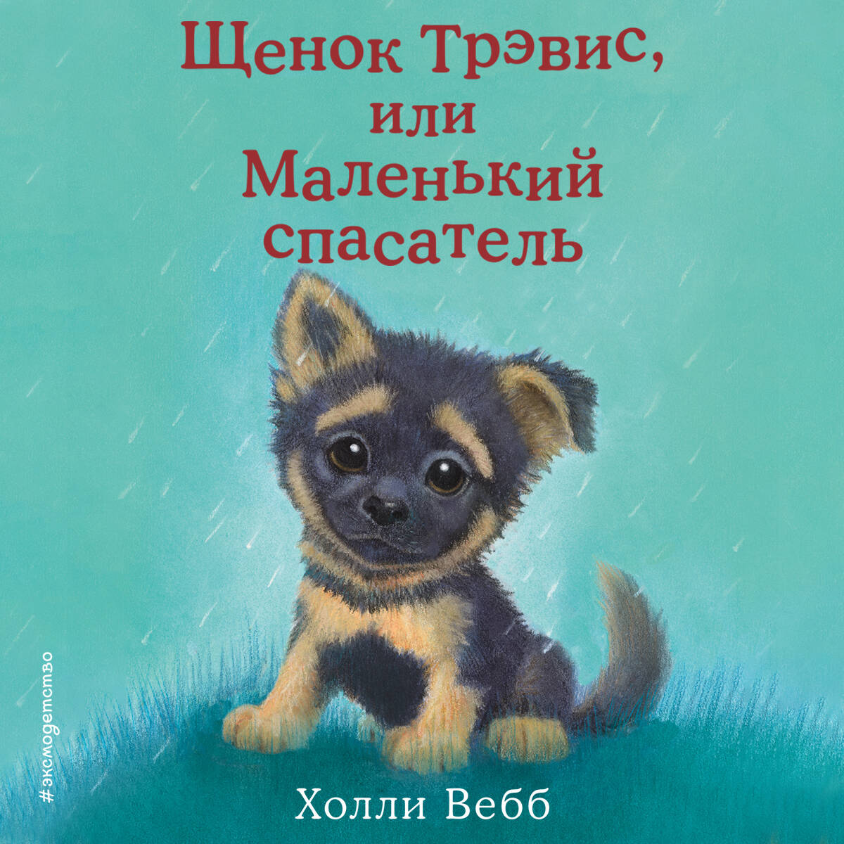 Щенок Трэвис, или Маленький спасатель (выпуск 54)