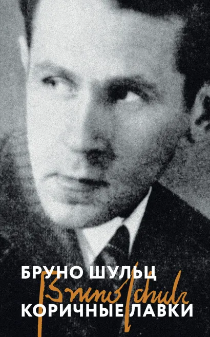 Обложка Коричные лавки Бруно Шульц