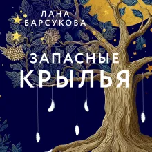 Запасные крылья