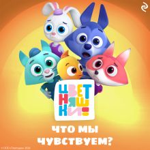 Цветняшки. Что мы чувствуем?