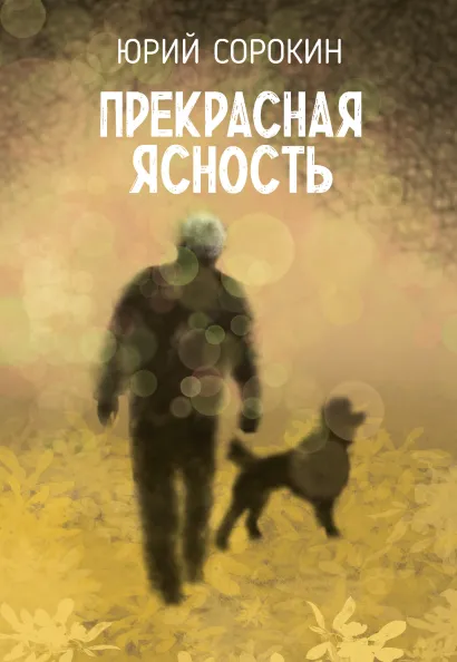 Обложка Прекрасная ясность Юрий Сорокин