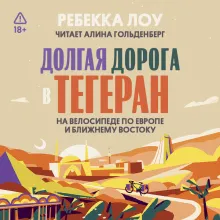 Долгая дорога в Тегеран. На велосипеде по Европе и Ближнему Востоку