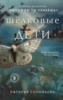 Обложка Шелковые дети Наталья Соловьева