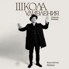 Школа удивления. Дневник ученика