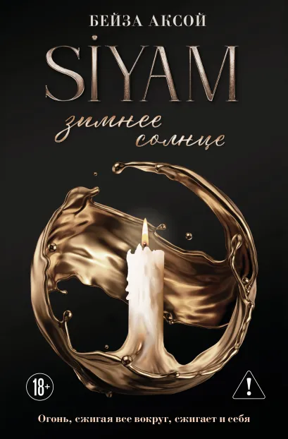 Обложка Зимнее солнце Бейза Аксой