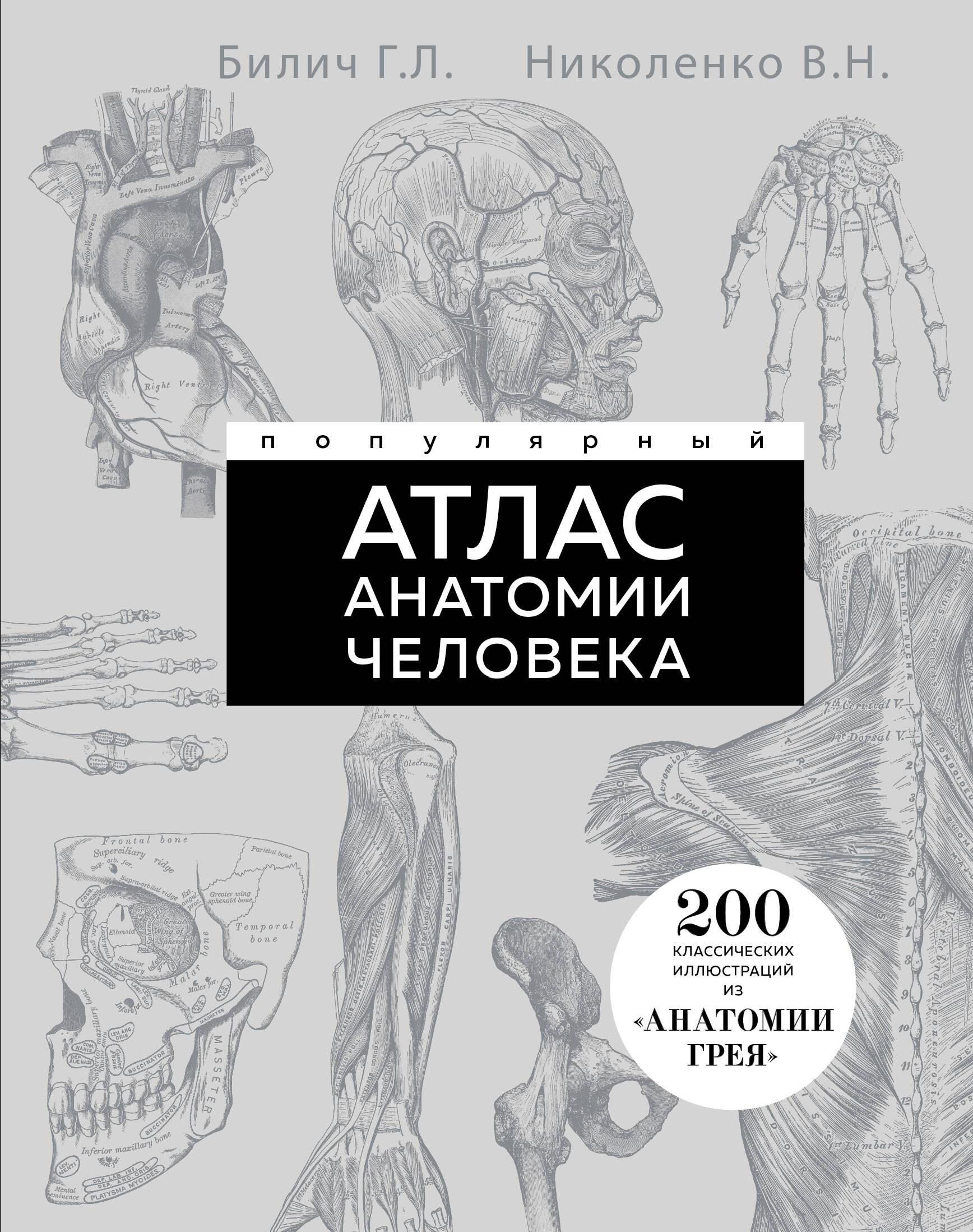 Популярный атлас анатомии человека. Анатомия Грея. 200 классических иллюстраций