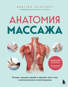Обложка Анатомия массажа. Основы массажа нижней и верхней части тела с анатомическими иллюстрациями Абигейл Эллсуорт