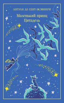 Маленький принц. Цитадель