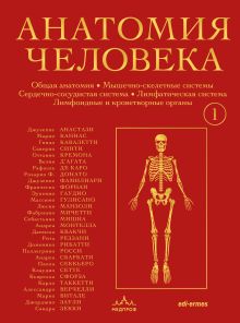 Обложка Анатомия человека. Эксклюзивное издание с 50-летней историей. Том 1 Джузеппе Анастази, Марио Каннас, Гвидо Кавалетти и др.