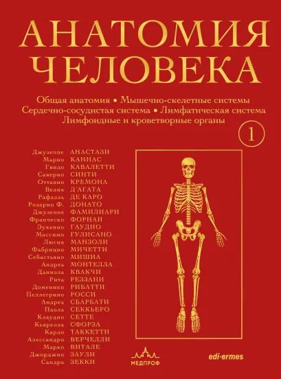 Обложка Анатомия человека. Эксклюзивное издание с 50-летней историей. Том 1 Джузеппе Анастази, Марио Каннас, Гвидо Кавалетти и др.
