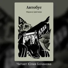 Под лаской плюшевого пледа