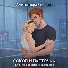 Обложка Сокол и Ласточка. Единство противоположностей Александра Черчень