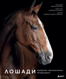 Обложка Лошади. Портреты, вдохновленные Рембрандтом Фабио Петрони