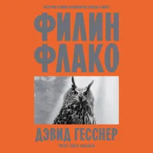 Филин Флако: История самой знаменитой птицы в мире