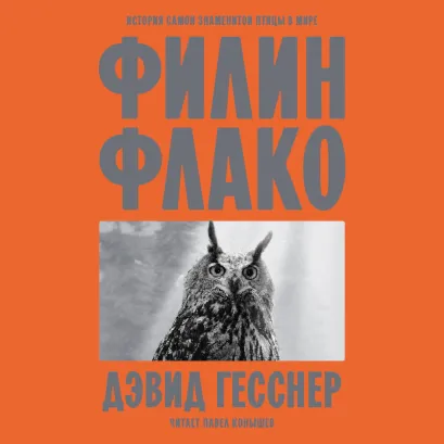 Обложка Филин Флако: История самой знаменитой птицы в мире Дэвид Гесснер