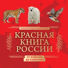 Красная книга России. Большой формат. Более 500 уникальных иллюстраций и фактов (новое издание) (основной)