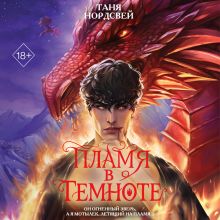 Обложка Пламя в темноте Таня Нордсвей