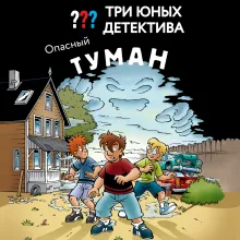 Три юных детектива. Опасный туман