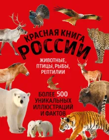Красная книга России. Большой формат. Более 500 уникальных иллюстраций и фактов (новое издание) (основной)