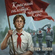 Обложка Красный галстук, черный лес Игорь Томин