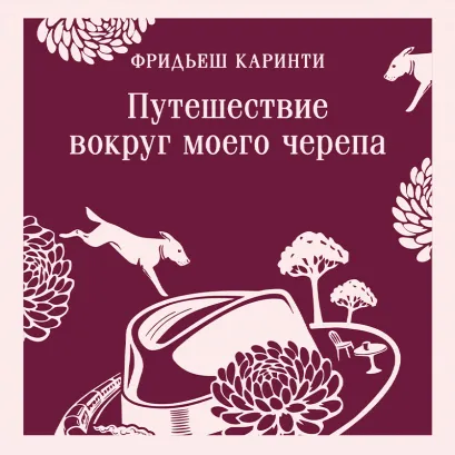 Обложка Путешествие вокруг моего черепа Фридьеш Каринти
