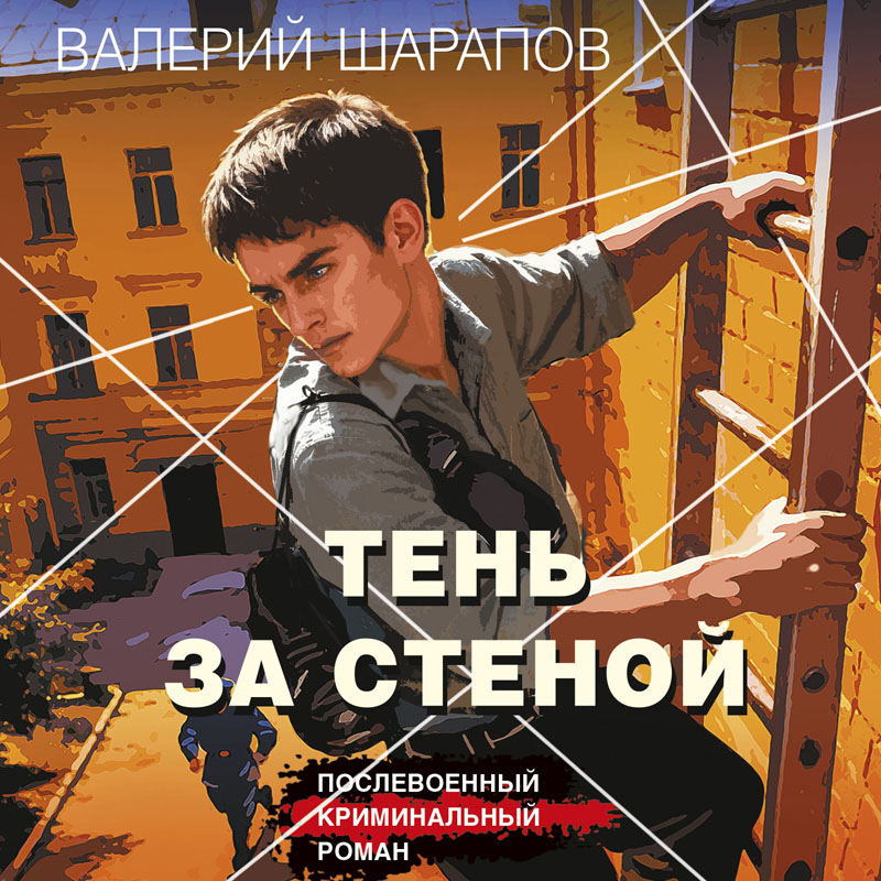 Обложка Тень за стеной Валерий Шарапов