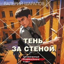 Обложка Тень за стеной Валерий Шарапов