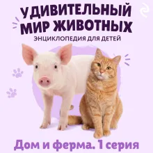 Удивительный мир животных. Дом и ферма. Серия 1