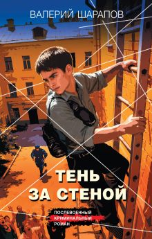 Обложка Тень за стеной Валерий Шарапов