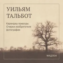 Карандаш природы. Очерки изобретателя фотографии