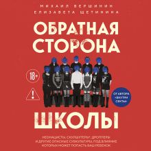 Обложка Внутри школы. Почему дети попадают под влияние субкультур и как им можно помочь Михаил Вершинин, Елизавета Щетинина