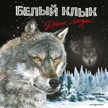 Белый клык (ил. В. Канивца)
