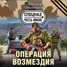 Операция возмездия